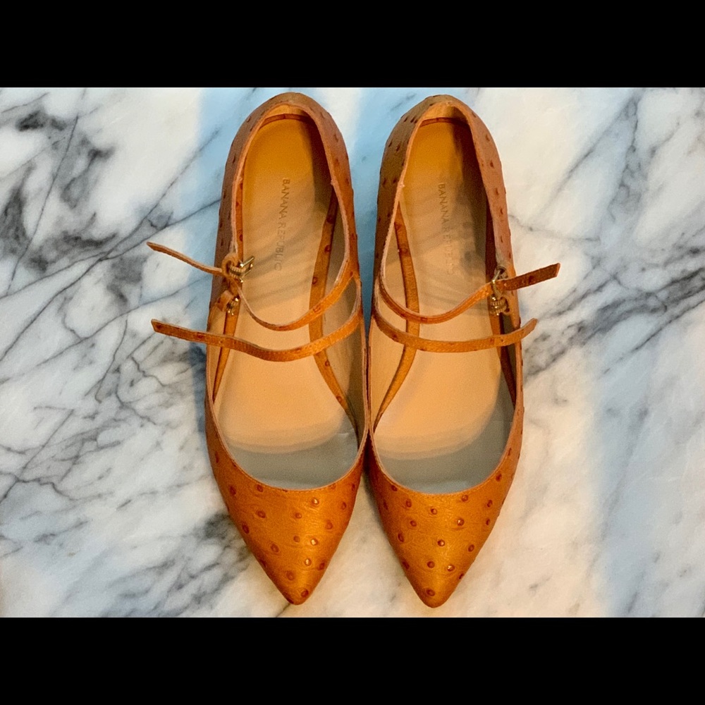 Banana Republic flats. Very lightly worn!